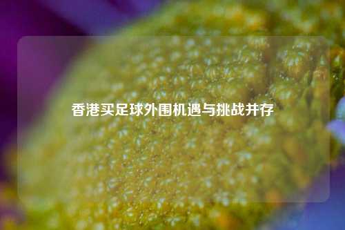 香港买足球外围机遇与挑战并存