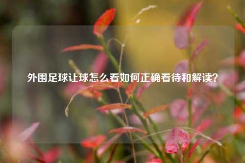 外围足球让球怎么看如何正确看待和解读？