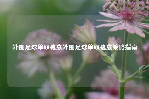 外围足球单双稳赢外围足球单双稳赢策略指南