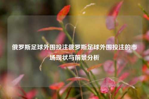 俄罗斯足球外围投注俄罗斯足球外围投注的市场现状与前景分析