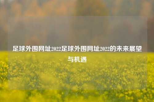 足球外围网址2022足球外围网址2022的未来展望与机遇