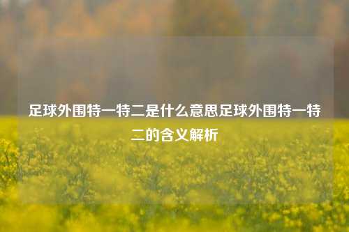 足球外围特一特二是什么意思足球外围特一特二的含义解析