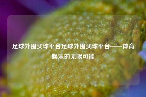 足球外围买球平台足球外围买球平台——体育娱乐的无限可能
