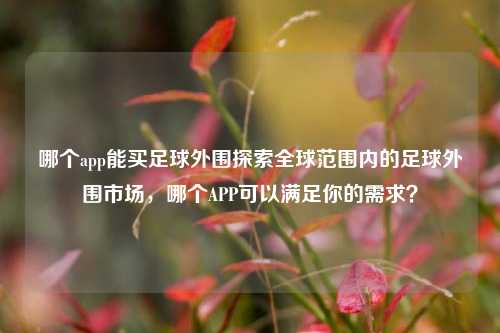 哪个app能买足球外围探索全球范围内的足球外围市场，哪个APP可以满足你的需求？