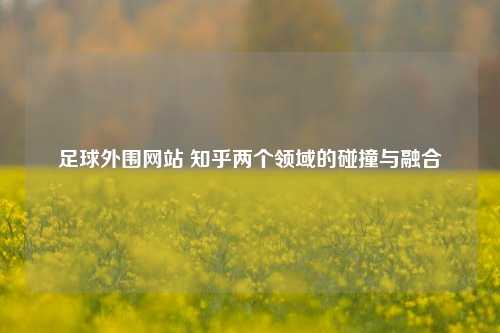 足球外围网站 知乎两个领域的碰撞与融合