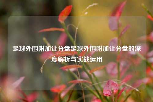 足球外围附加让分盘足球外围附加让分盘的深度解析与实战运用