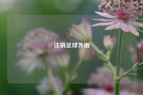 注销足球外围