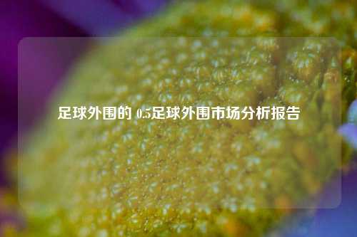 足球外围的 0.5足球外围市场分析报告