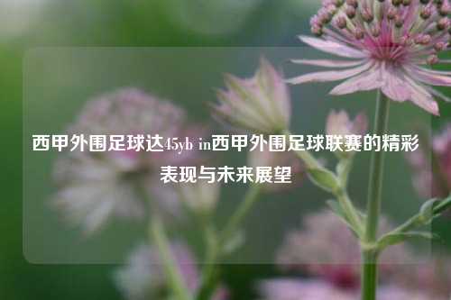 西甲外围足球达45yb in西甲外围足球联赛的精彩表现与未来展望