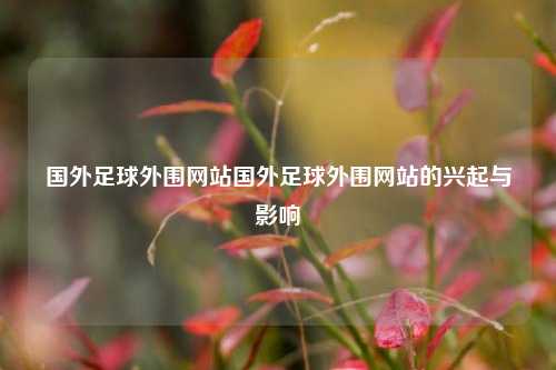 国外足球外围网站国外足球外围网站的兴起与影响