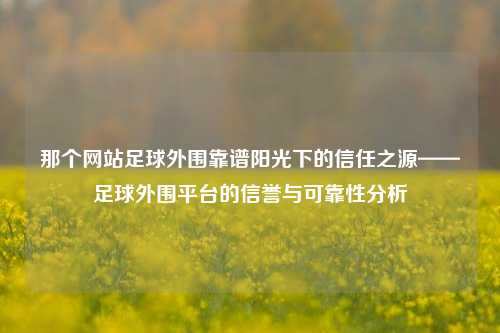 那个网站足球外围靠谱阳光下的信任之源——足球外围平台的信誉与可靠性分析