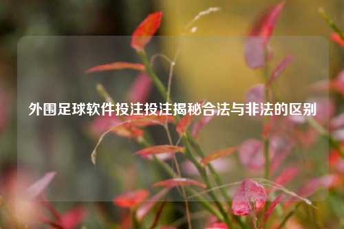 外围足球软件投注投注揭秘合法与非法的区别
