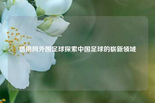 信用网外围足球探索中国足球的崭新领域