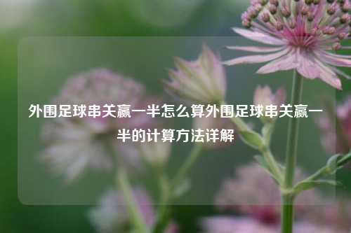 外围足球串关赢一半怎么算外围足球串关赢一半的计算方法详解