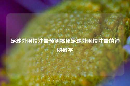足球外围投注量预测揭秘足球外围投注量的神秘数字