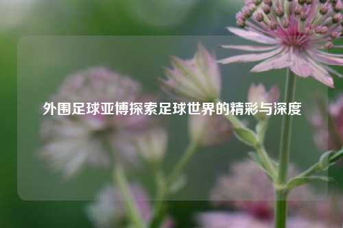 外围足球亚博探索足球世界的精彩与深度