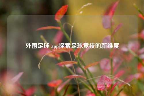 外围足球 app探索足球竞技的新维度