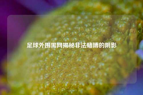 足球外围黑网揭秘非法赌博的阴影