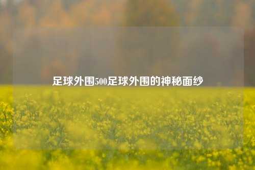 足球外围500足球外围的神秘面纱