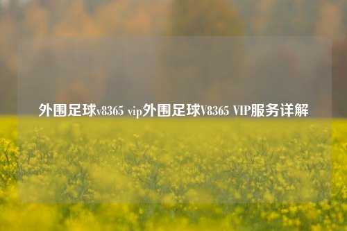 外围足球v8365 vip外围足球V8365 VIP服务详解