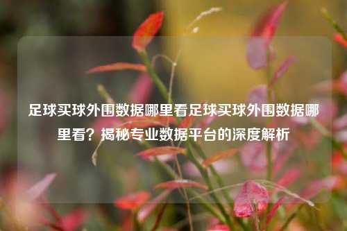 足球买球外围数据哪里看足球买球外围数据哪里看？揭秘专业数据平台的深度解析