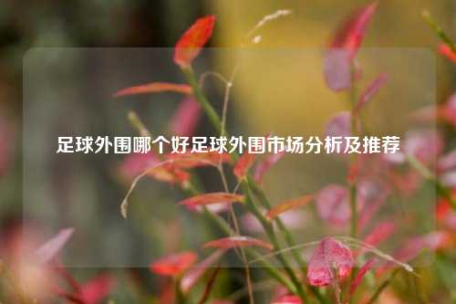 足球外围哪个好足球外围市场分析及推荐