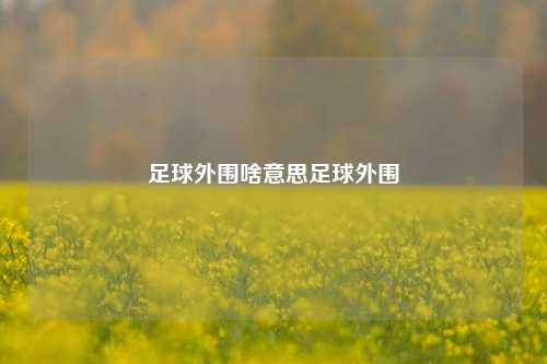 足球外围啥意思足球外围