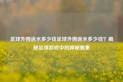 足球外围返水多少钱足球外围返水多少钱？揭秘足球游戏中的神秘要素