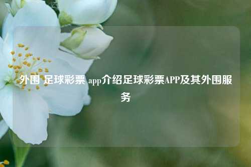 外围 足球彩票 app介绍足球彩票APP及其外围服务