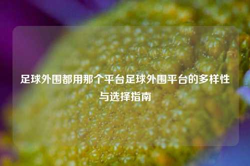 足球外围都用那个平台足球外围平台的多样性与选择指南