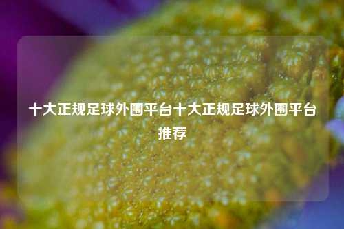 十大正规足球外围平台十大正规足球外围平台推荐