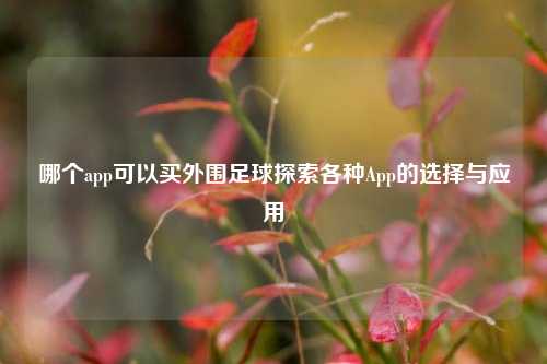 哪个app可以买外围足球探索各种App的选择与应用