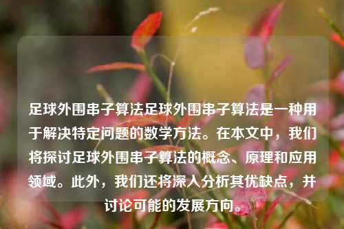 足球外围串子算法足球外围串子算法是一种用于解决特定问题的数学方法。在本文中，我们将探讨足球外围串子算法的概念、原理和应用领域。此外，我们还将深入分析其优缺点，并讨论可能的发展方向。