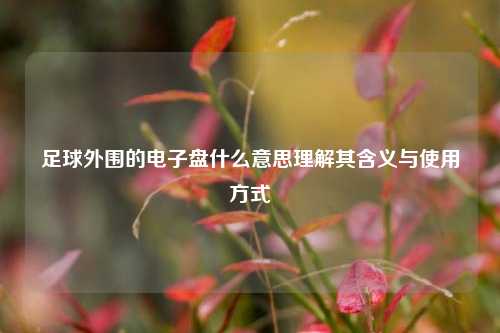 足球外围的电子盘什么意思理解其含义与使用方式