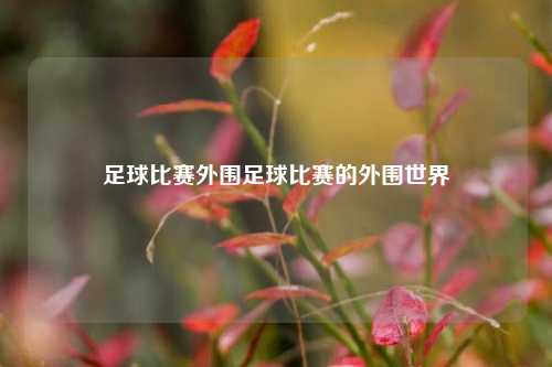 足球比赛外围足球比赛的外围世界