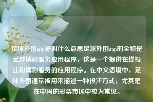 足球外围app是叫什么意思足球外围app的全称是足球博彩服务应用程序，这是一个提供在线投注和博彩服务的应用程序。在中文语境中，足球外围通常被用来描述一种投注方式，尤其是在中国的彩票市场中较为常见。