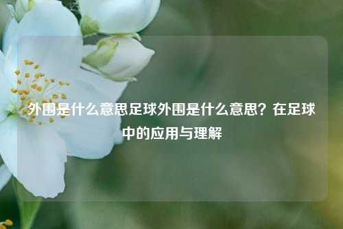 外围是什么意思足球外围是什么意思？在足球中的应用与理解