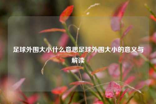 足球外围大小什么意思足球外围大小的意义与解读