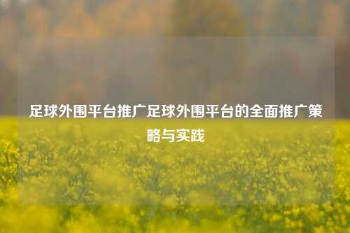 足球外围平台推广足球外围平台的全面推广策略与实践