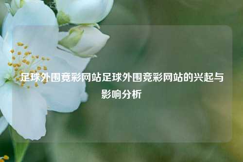 足球外围竟彩网站足球外围竞彩网站的兴起与影响分析