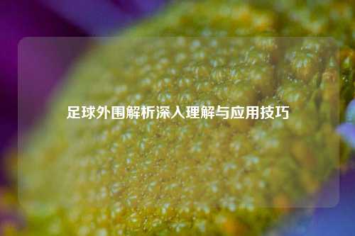 足球外围解析深入理解与应用技巧