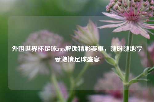 外围世界杯足球app解锁精彩赛事，随时随地享受激情足球盛宴