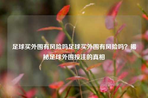 足球买外围有风险吗足球买外围有风险吗？揭秘足球外围投注的真相