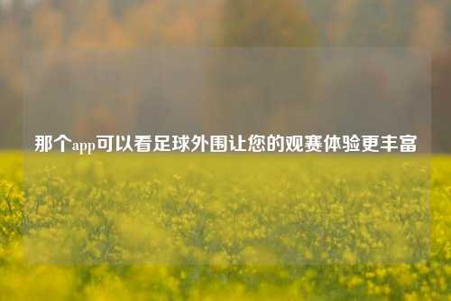 那个app可以看足球外围让您的观赛体验更丰富