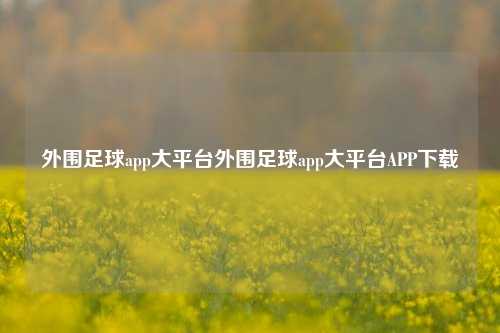 外围足球app大平台外围足球app大平台APP下载