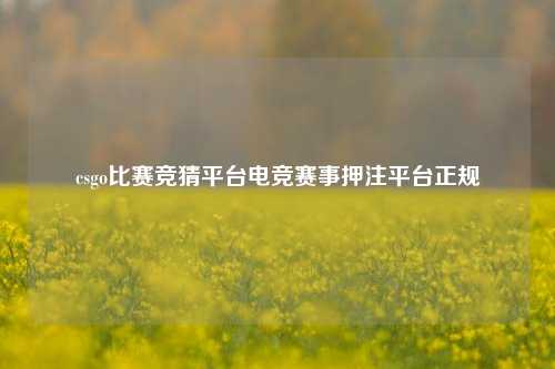 csgo比赛竞猜平台电竞赛事押注平台正规