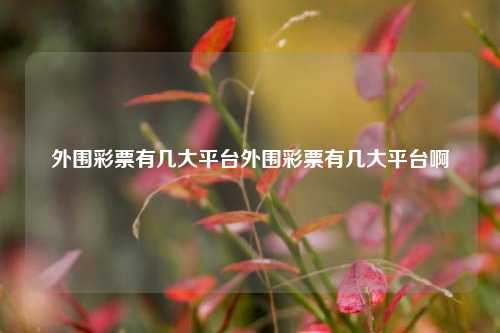 外围彩票有几大平台外围彩票有几大平台啊