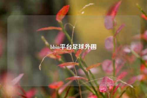 bbin平台足球外围