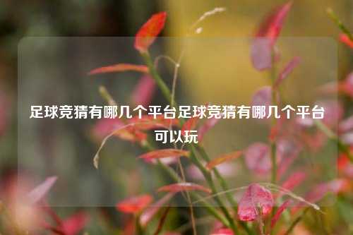 足球竞猜有哪几个平台足球竞猜有哪几个平台可以玩