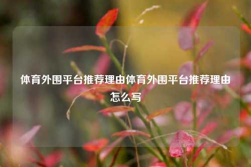 体育外围平台推荐理由体育外围平台推荐理由怎么写